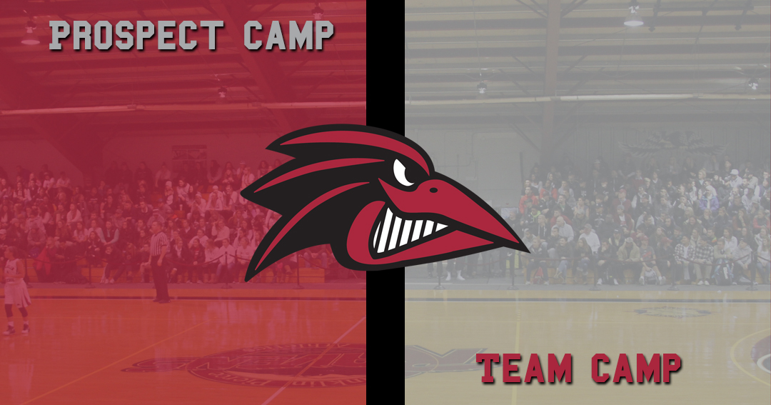 Men's Hoops Announces Two Summer Camps