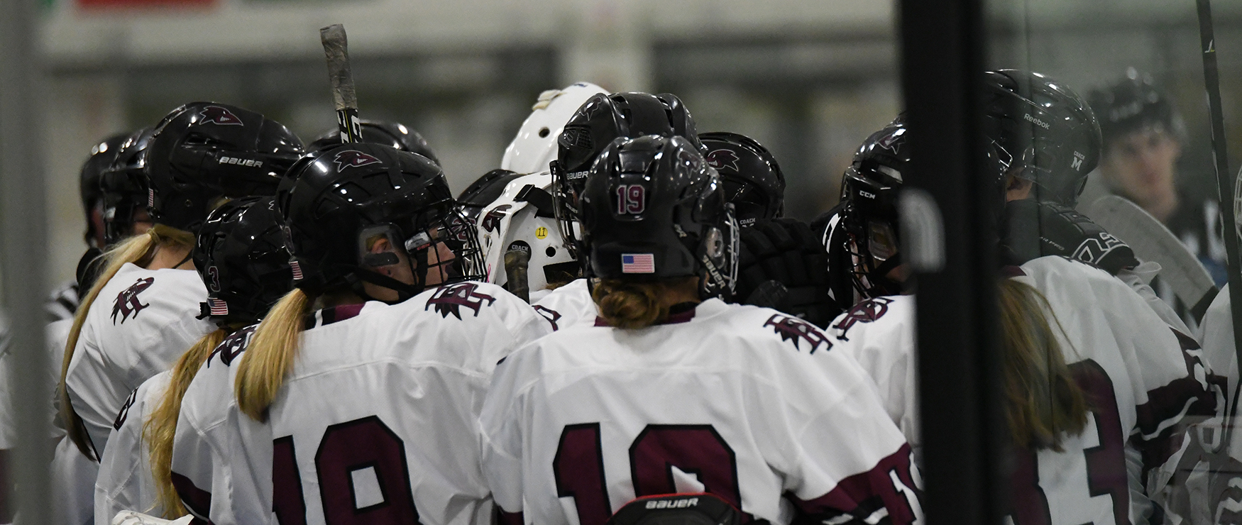 Women’s Ice Hockey Blanked by Holy Cross, 6-0