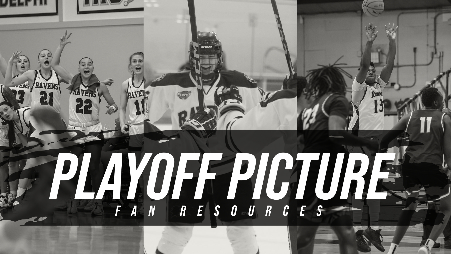Playoff Picture: Resources for Raven Nation as Three Programs Head into the Postseason