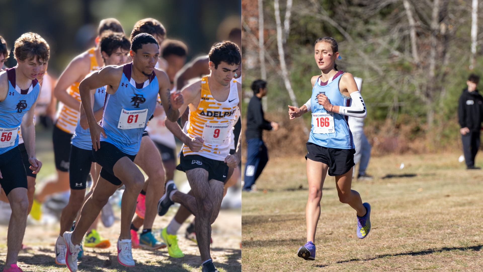 Cross Country Competes at 2024 NE10 Championships 