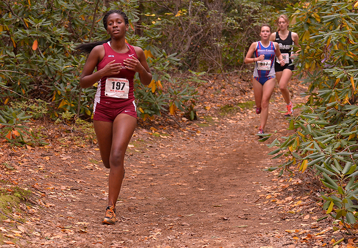 Women's Cross Country Turns in Respectable 17th Place Showing at NCAA East Regional